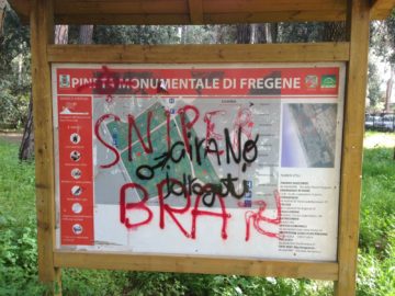 Abbandono pineta Fregene