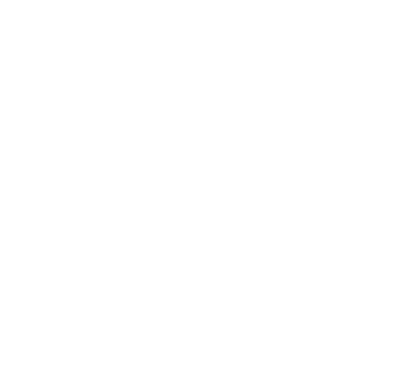 Ora! Mario Baccini Sindaco di Fiumicino